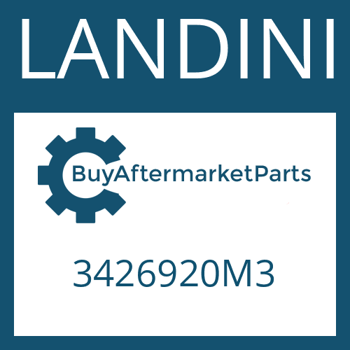 3426920M3 LANDINI WHEEL HUB