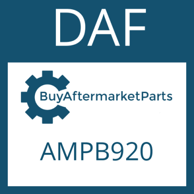 AMPB920 DAF CYLINDER + PISTON ASSY