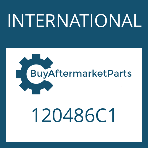 120486C1 INTERNATIONAL FRICTION PLATE