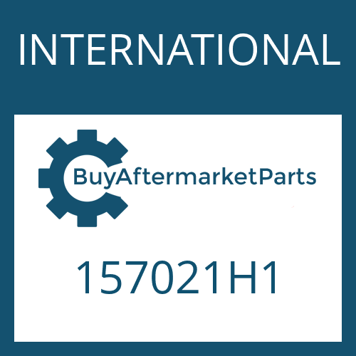 157021H1 INTERNATIONAL FRICTION PLATE