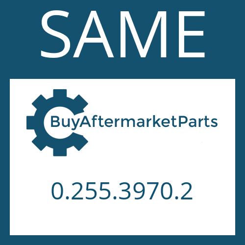 0.255.3970.2 SAME FRICTION PLATE