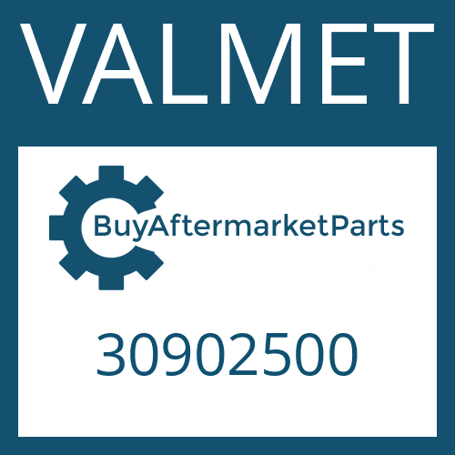 30902500 VALMET FRICTION PLATE