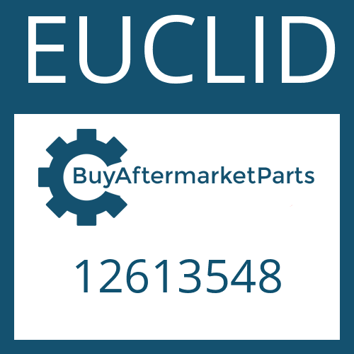 12613548 EUCLID FRICTION PLATE