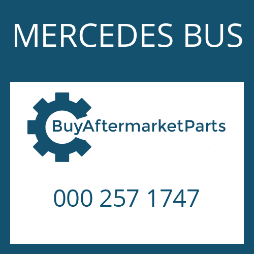 000 257 1747 MERCEDES BUS FRICTION PLATE