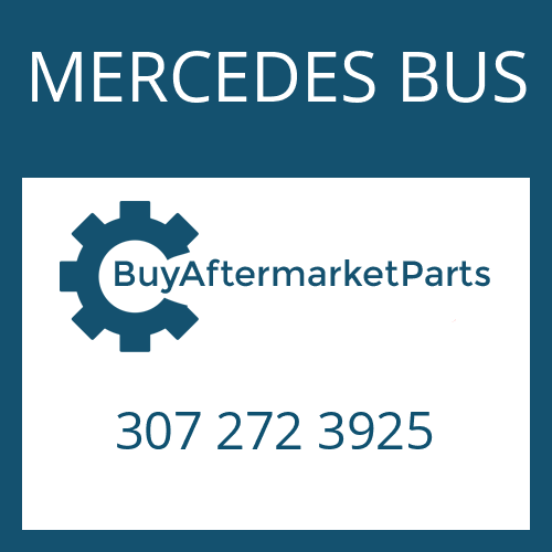 307 272 3925 MERCEDES BUS FRICTION PLATE