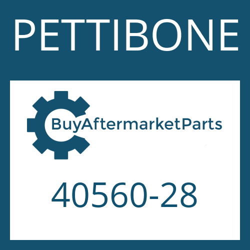 40560-28 PETTIBONE FRICTION PLATE