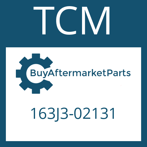 163J3-02131 TCM FRICTION PLATE