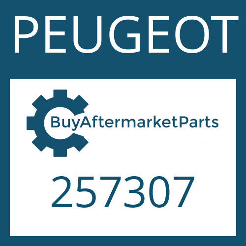 257307 PEUGEOT VALVE ORIFICE