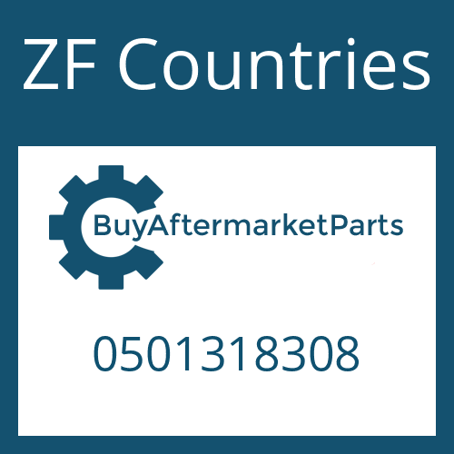 0501318308 ZF Countries GASKET