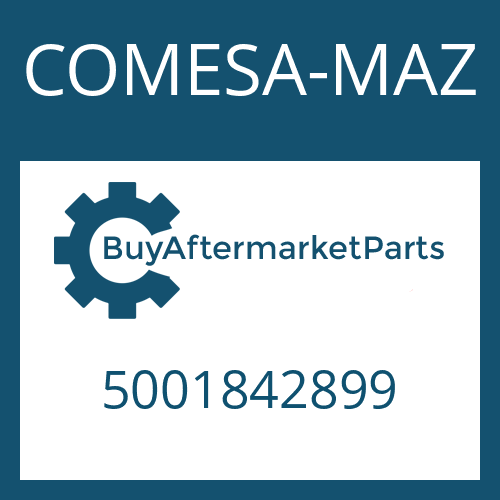 5001842899 COMESA-MAZ WASHER