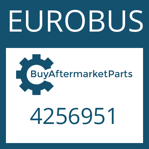 4256951 EUROBUS OUTPUT FLANGE