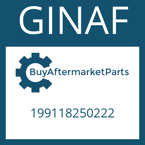 199118250222 GINAF BEARING HOUSING