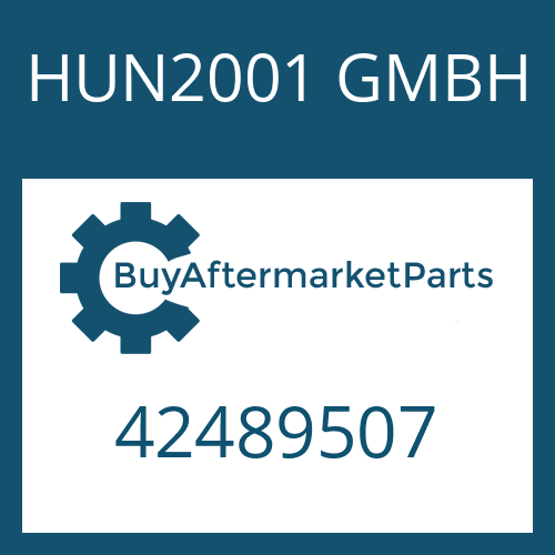 42489507 HUN2001 GMBH O-RING