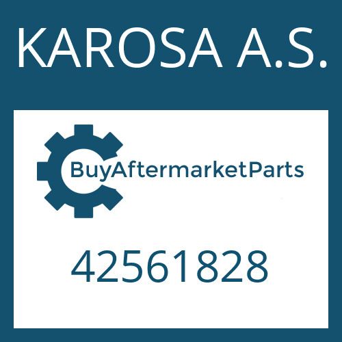 42561828 KAROSA A.S. THRUST WASHER