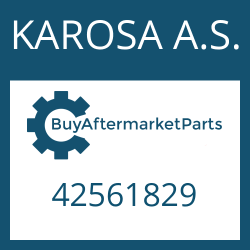 42561829 KAROSA A.S. INTERNAL RING