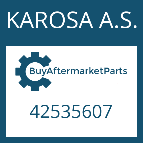 42535607 KAROSA A.S. GASKET