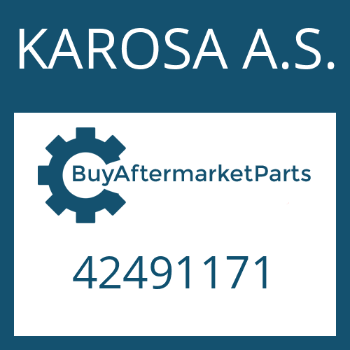 42491171 KAROSA A.S. PISTON RING