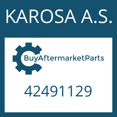 42491129 KAROSA A.S. RETAINING RING