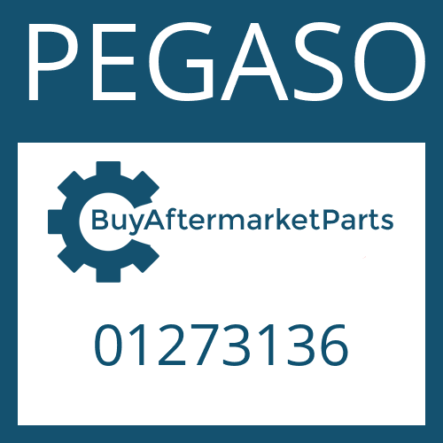 01273136 PEGASO THRUST WASHER