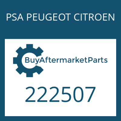 222507 PSA PEUGEOT CITROEN BUSH