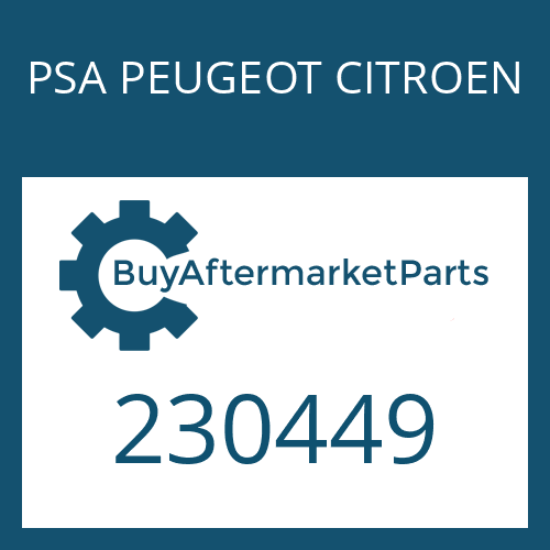 230449 PSA PEUGEOT CITROEN CUP SPRING