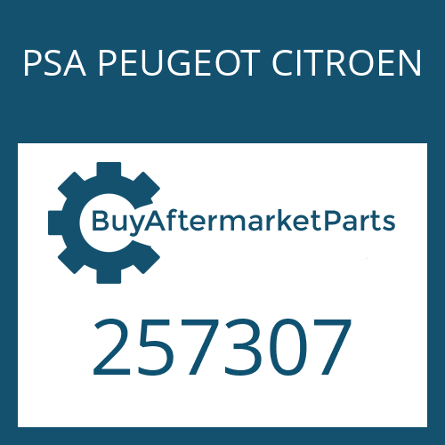 257307 PSA PEUGEOT CITROEN VALVE ORIFICE