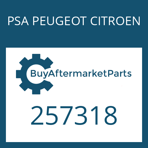 257318 PSA PEUGEOT CITROEN VALVE ORIFICE