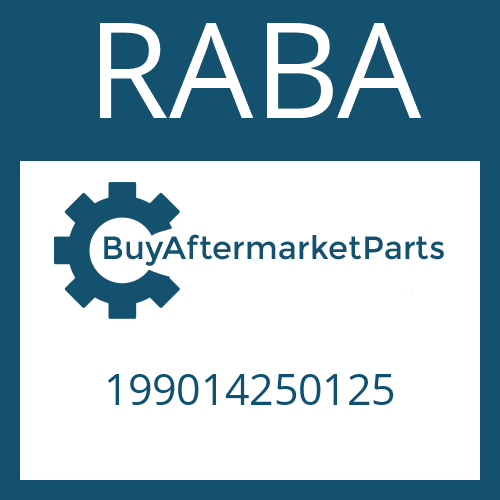 199014250125 RABA BEARING COVER