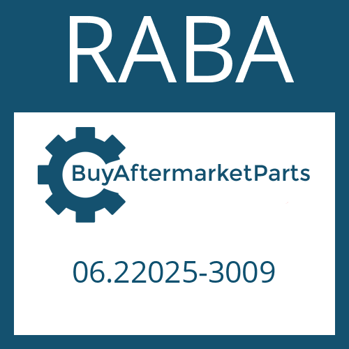 06.22025-3009 RABA CYLINDRICAL PIN