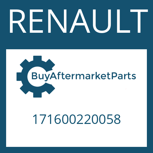 171600220058 RENAULT SLOTTED NUT