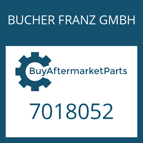 7018052 BUCHER FRANZ GMBH WASHER