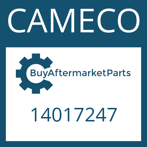 14017247 CAMECO SPACER WASHER