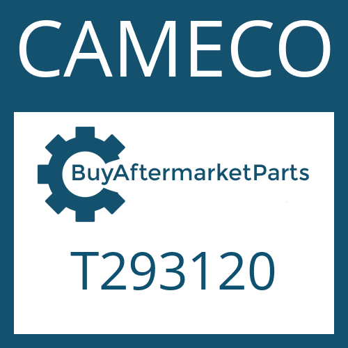 T293120 CAMECO RING