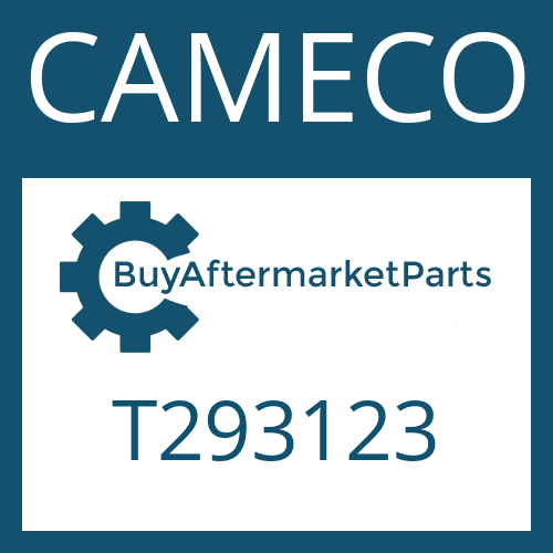 T293123 CAMECO RING