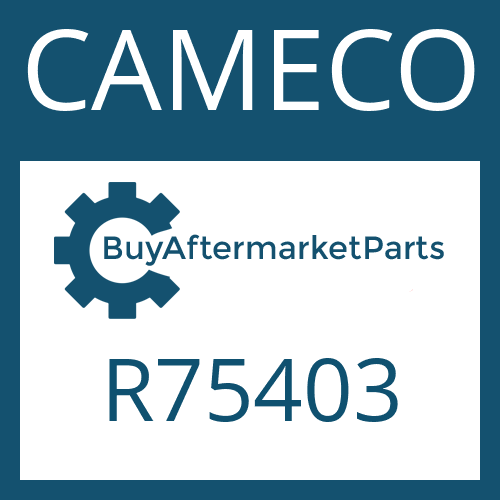 R75403 CAMECO WASHER