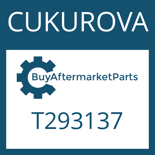 T293137 CUKUROVA RING