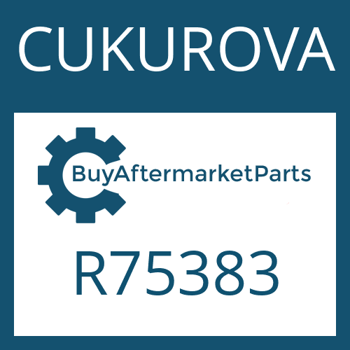 R75383 CUKUROVA SPACER WASHER