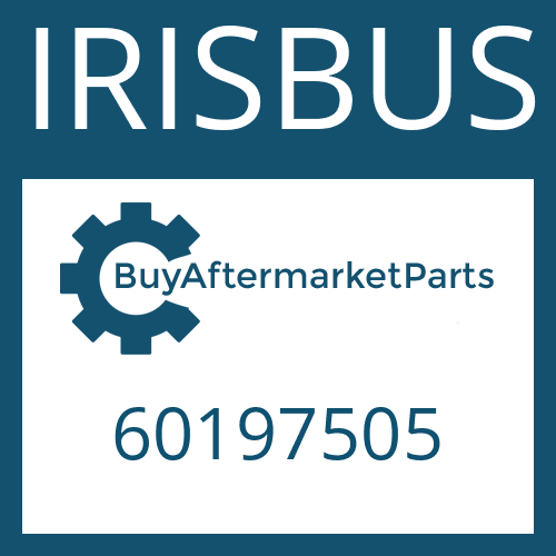 60197505 IRISBUS WASHER