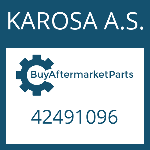 42491096 KAROSA A.S. SPACER WASHER