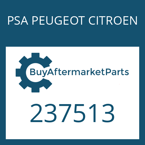 237513 PSA PEUGEOT CITROEN SHIM PLATE