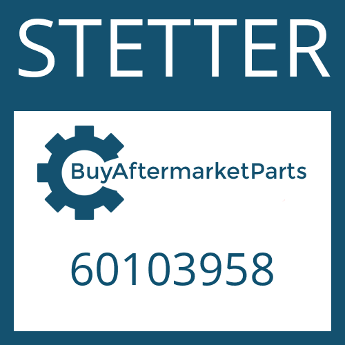 60103958 STETTER WASHER