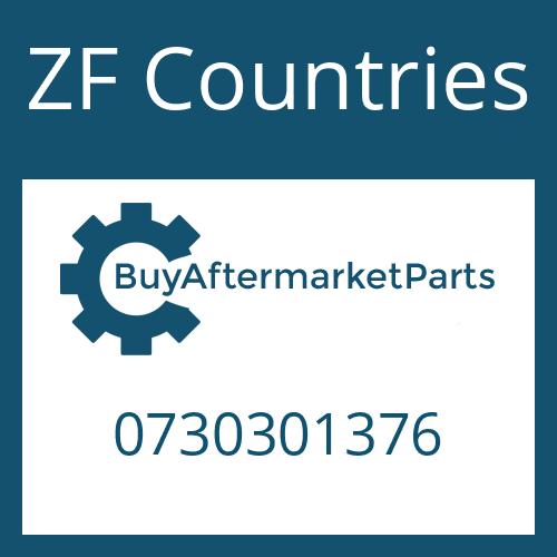 0730301376 ZF Countries WASHER
