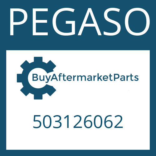 503126062 PEGASO VALVE