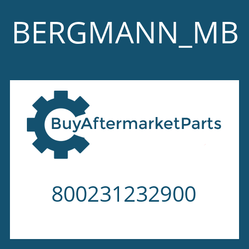 800231232900 BERGMANN_MB TOLERANCE RING