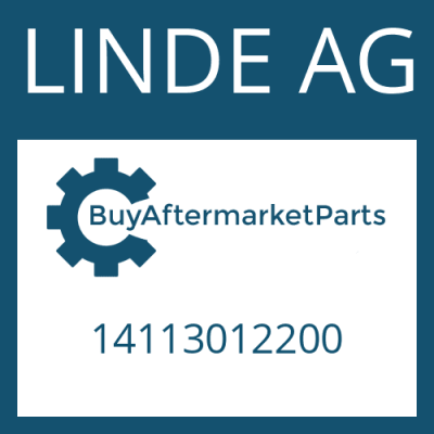 14113012200 LINDE AG OUTPUT FLANGE