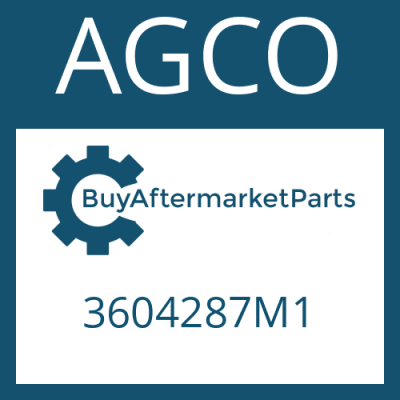 3604287M1 AGCO WASHER