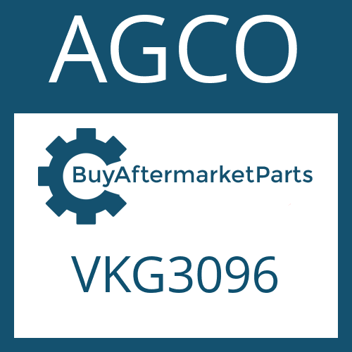 VKG3096 AGCO SNAP RING