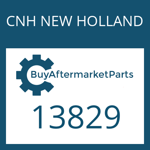 13829 CNH NEW HOLLAND SLOT.PIN