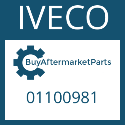01100981 IVECO O-RING