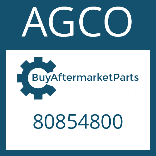 80854800 AGCO HEXAGON NUT